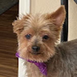 Meet your Posher, Adrianne